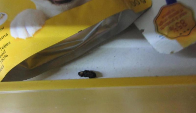 Inspekce dvakrát během měsíce uzavřela stejnou prodejnu. Zboží se povalovalo v myším trusu.