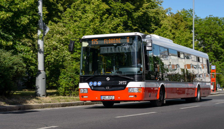 Autobus 175