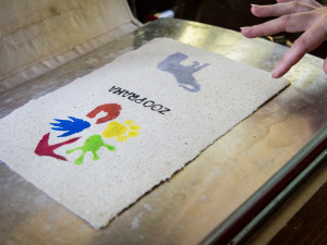 FOTO: V pražské zoo slavili Světový den slonů. Zvířata si pochutnala na zmrzlině