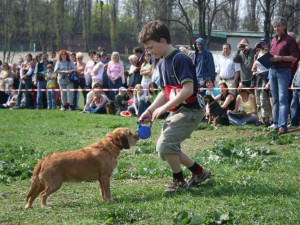 Ráj pejskařů. Česko je jednou z prvních zemí v Evropě v počtu zvířat na obyvatele