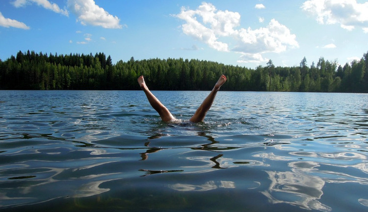 Kam na koupačku? Sinice jsou ve třech přírodních koupalištích v Praze