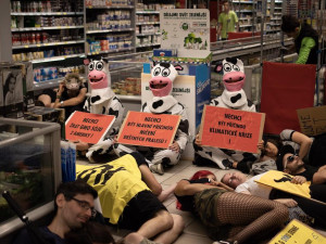 Aktivisté zaplavili Albert v Arkádách. Protestovali proti kampani za záchranu lesů.