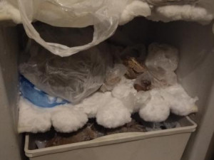 FOTO: Nepořádek i sekačka v kuchyni. Inspekce uzavřela další restauraci