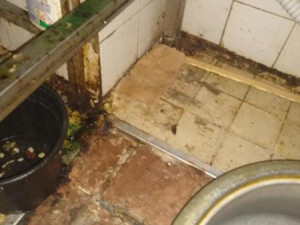 FOTO: Nepořádek i sekačka v kuchyni. Inspekce uzavřela další restauraci