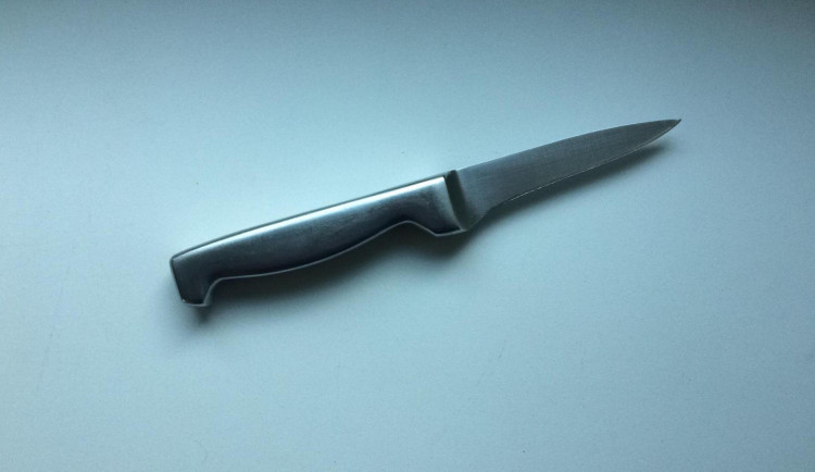 Pár se hádal o peníze. Žena si na obranu vzala kuchyňský nůž