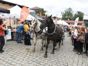 FOTO: Libeňský zámek oslavil 250 let od přestavby Marií Terezií. Podívejte se na fotky