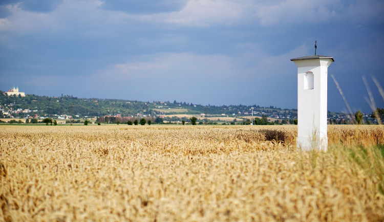 POLITICKÁ KORIDA: V jakém stavu je životní prostředí v Olomouckém kraji a co pro něj můžeme udělat? Zeptali jsme se kandidátů do voleb
