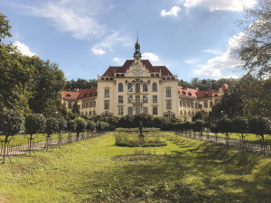 PRAŽSKÉ ŠKOLY: Škola na karlínském Lyčkově náměstí stojí na místě bývalého vojenského hřbitova