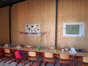 FOTO: V Praze 7 se otevřela první obecní lesní školka