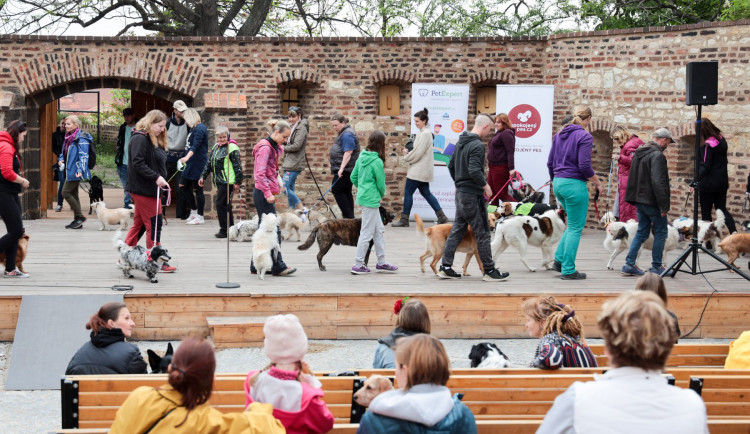 TÝDEN V PRAZE: Vyšehradský voříšek, koncert filmové hudby i interaktivní audiowalk Divadla Pomezí