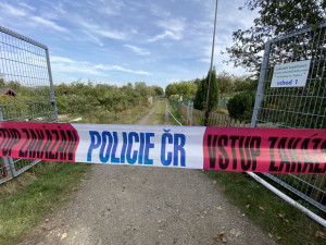 AKTUÁLNĚ: Hasiči našli ve vyhořelé chatě na pražském Žižkově torzo lidského těla