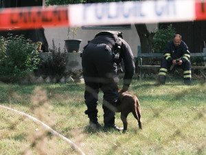 AKTUÁLNĚ: Hasiči našli ve vyhořelé chatě na pražském Žižkově torzo lidského těla
