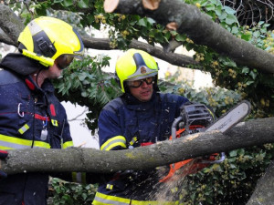 Hasiči odstranili podmáčený strom nahnutý nad trolej, který dopoledne zastavil tramvaje v centru Prahy