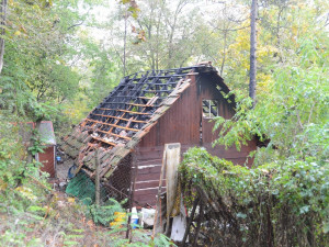 FOTO: Jeden člověk byl zraněn při požáru chaty v pražských Petrovicích