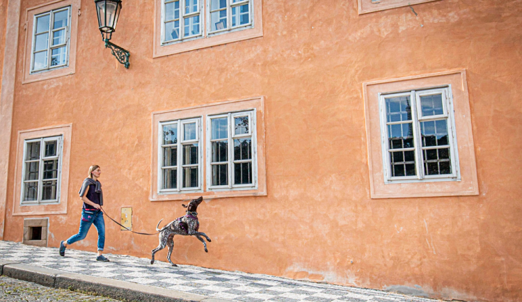 KAROLÍNA CIPRO: Život ve zdravotnictví vyměnila za běhání se psy