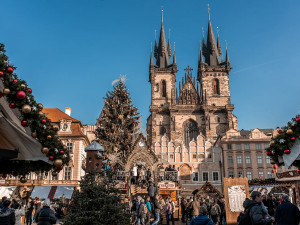 Vánoční strom na Staroměstském náměstí letos bude. Velké vánoční trhy a doprovodný program se však neuskuteční