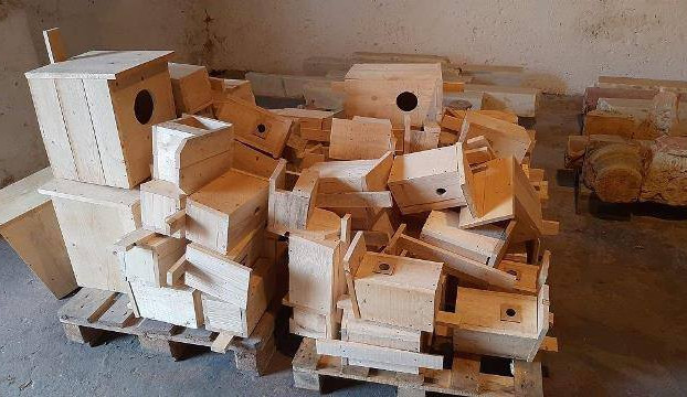 Vítězný chebský „Meganápad“ dostává konkrétní podobu