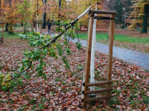 Zastavme vandalismus ve Stromovce: V parku někdo zničil pět stromů. Škoda je 90 tisíc korun