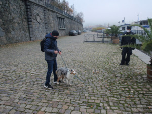 FOTO: Pes se chtěl vykoupat ve Vltavě. Strhl ho proud a zachránit ho museli strážníci