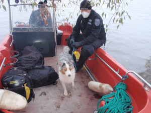 FOTO: Pes se chtěl vykoupat ve Vltavě. Strhl ho proud a zachránit ho museli strážníci