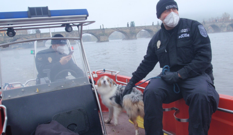 FOTO: Pes se chtěl vykoupat ve Vltavě. Strhl ho proud a zachránit ho museli strážníci