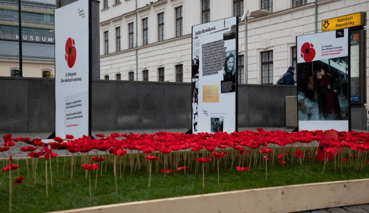 Česko si dnes připomíná Den válečných veteránů. Přečtěte si, kde koupit vlčí mák