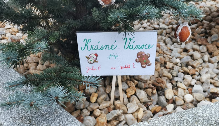 Lidé v Chebu mohou přispět k vánoční výzdobě města