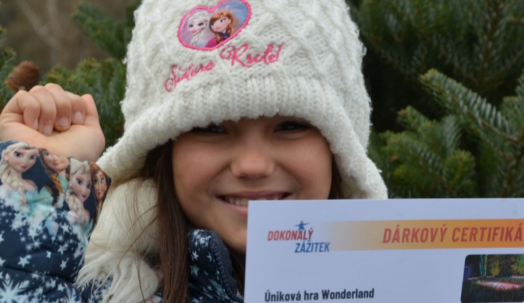 Zážitkový dárek? Skvělá volba na Vánoce