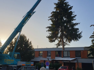 Převoz stromu na Karlínské náměstí, foto: FB Praha 8