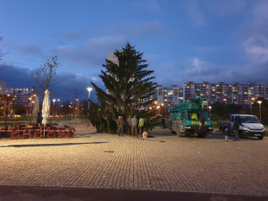 Stromek v Krakově, foto: FB Praha 8