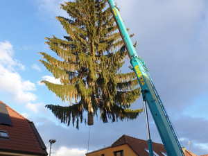 Stromek v Krakově, foto: FB Praha 8