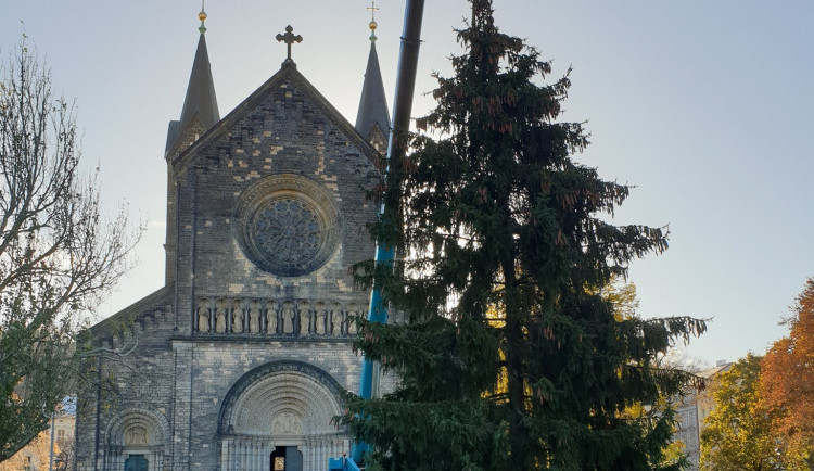 Vánoční strom na Karlínském náměstí, foto: FB Praha 8