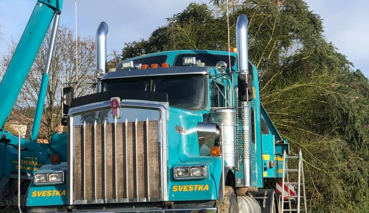 FOTO: Podívejte se na kácení pražského vánočního stromu