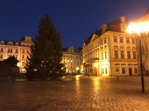 FOTO, VIDEO: Vánoční strom pro Prahu je na svém místě. Rozsvítí se o víkendu