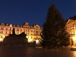 FOTO, VIDEO: Vánoční strom pro Prahu je na svém místě. Rozsvítí se o víkendu