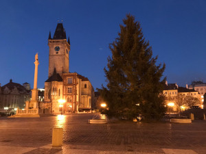 FOTO, VIDEO: Vánoční strom pro Prahu je na svém místě. Rozsvítí se o víkendu