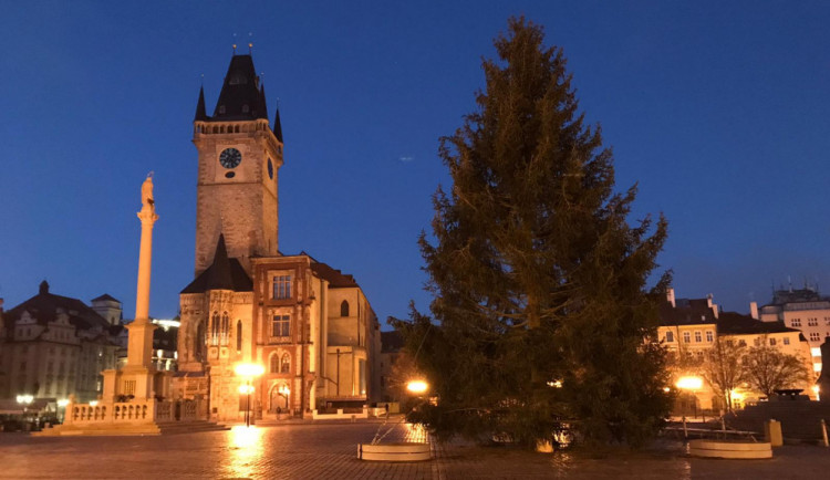 FOTO, VIDEO: Vánoční strom pro Prahu je na svém místě. Rozsvítí se o víkendu