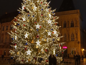 FOTO: Vánoční strom na Staroměstském náměstí v Praze už svítí