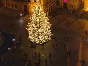 FOTO: Vánoční strom na Staroměstském náměstí v Praze už svítí