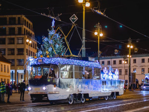 FOTOGRAF ODVEDLE SEDLECKA