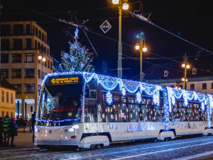 FOTOGRAF ODVEDLE SEDLECKA