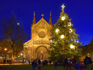 VÁNOCE NA OSMIČCE: Pět vánočních stromů, nasvícený Libeňský zámek i série adventních koncertů