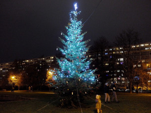VÁNOCE NA DEVÍTCE: Tři vánoční stromy, tradiční výzdoba v ulicích i kluziště před OC Černý Most
