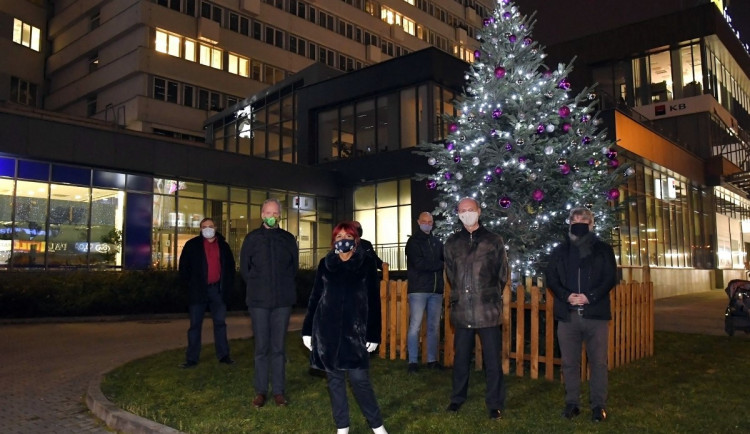 VÁNOCE NA ČTYŘCE: Tradiční výzdoba, jediný strom a ozdoby pro sousedy zdarma