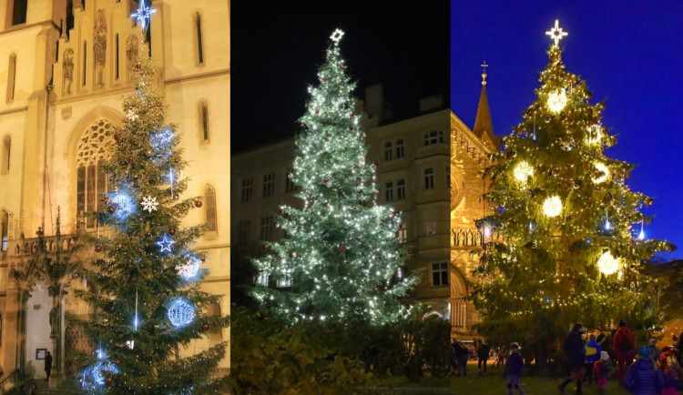 ANKETA: Která městská část má letos ten nejkrásnější vánoční strom?