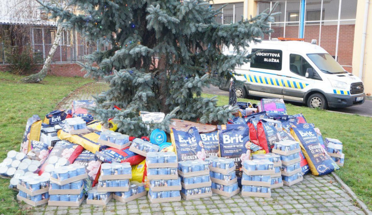 Zvířátka v útulku v Troji dostali předčasnou nadílku v podobě více než 1000 kilogramů granulí a konzerv