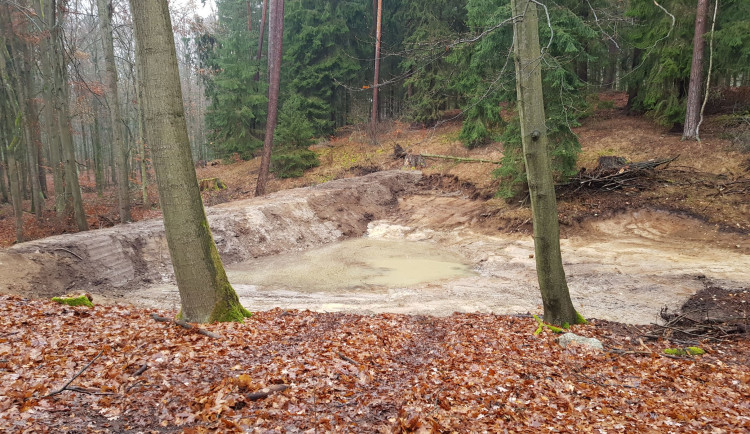 V karlovarských lázeňských lesích vznikají umělé tůně, mají zadržovat vodu v krajině