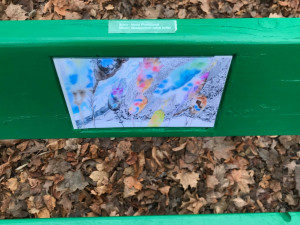 FOTO: V rámci akce Opři se v umění jsou do laviček ve Stromovce umístěna výtvarná díla