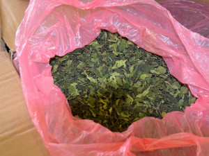 FOTO: Celníci zadrželi na letišti v Praze 462 kilogramů rostlinné drogy