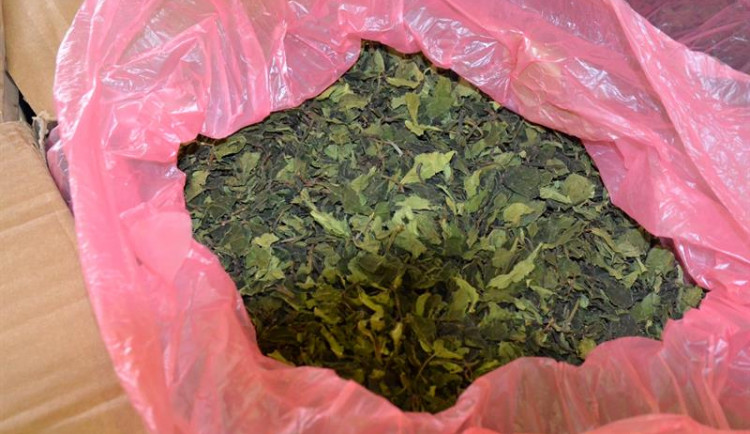 FOTO: Celníci zadrželi na letišti v Praze 462 kilogramů rostlinné drogy